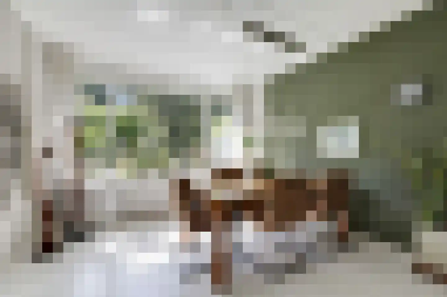 Eduard Schilderinkstraat 82 Doetinchem thumbnail 15
