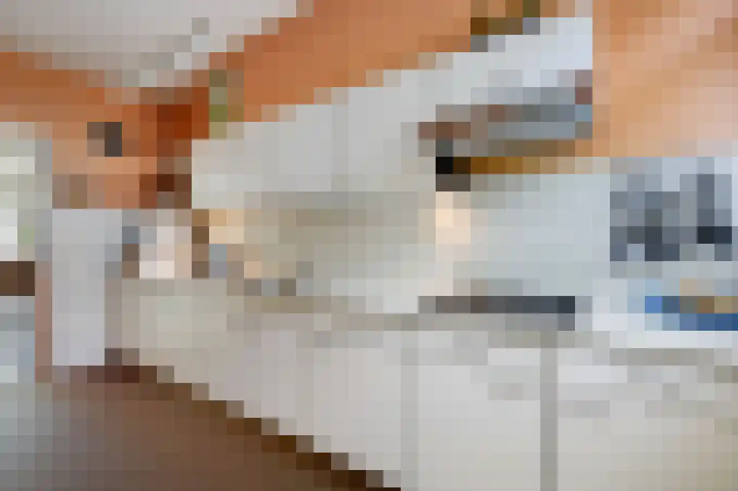 Eduard Schilderinkstraat 82 Doetinchem thumbnail 18