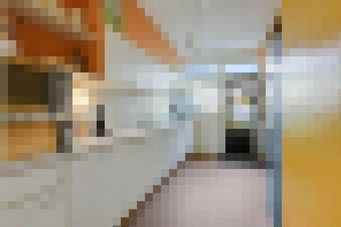 Eduard Schilderinkstraat 82 Doetinchem thumbnail 19