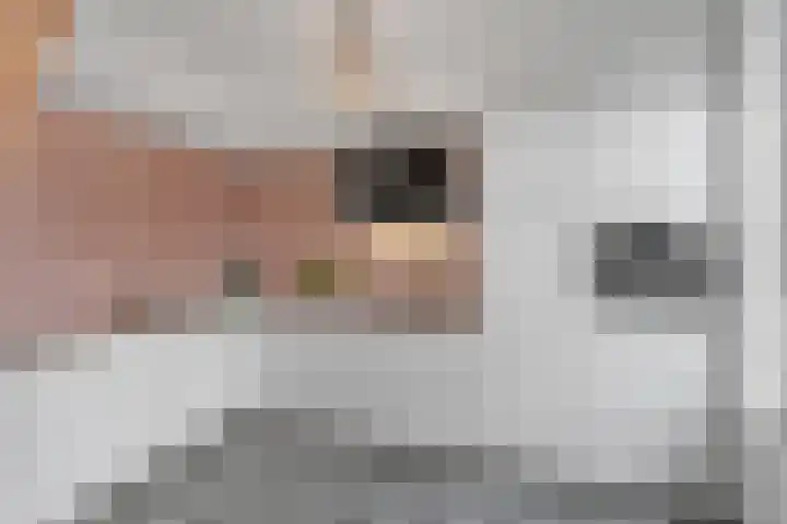 Eduard van Beinumlaan 109 Dieren thumbnail 10