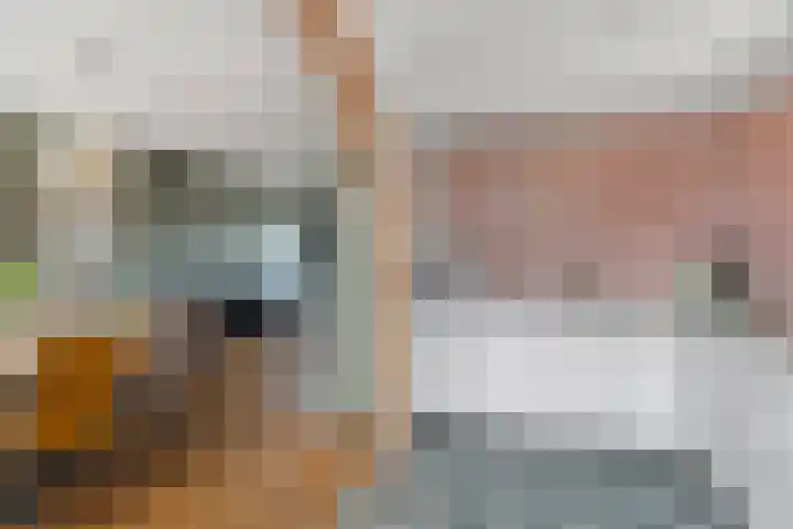 Eduard van Beinumlaan 109 Dieren thumbnail 12