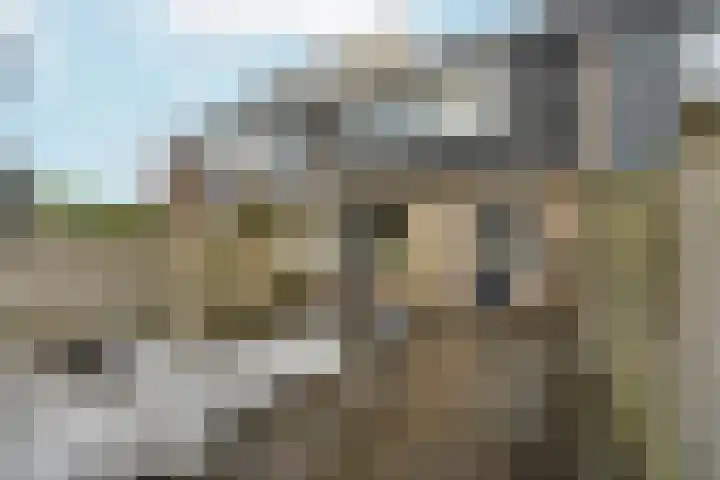 Eduard van Beinumlaan 109 Dieren thumbnail 43
