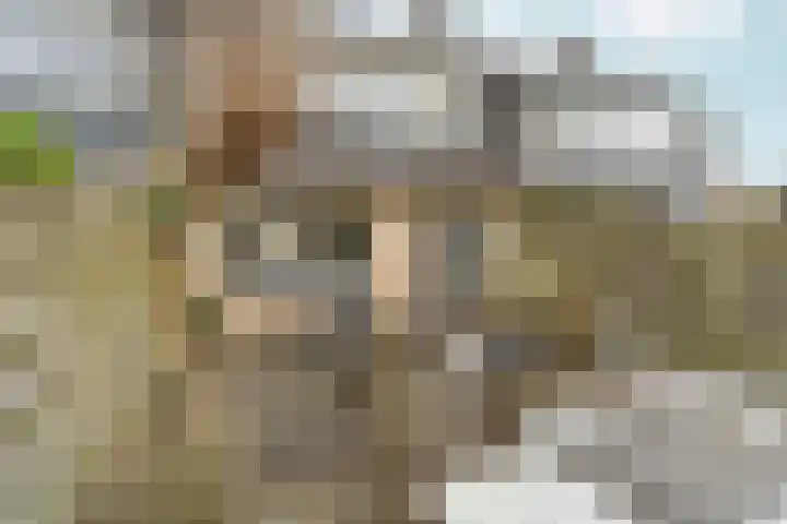 Eduard van Beinumlaan 109 Dieren thumbnail 44