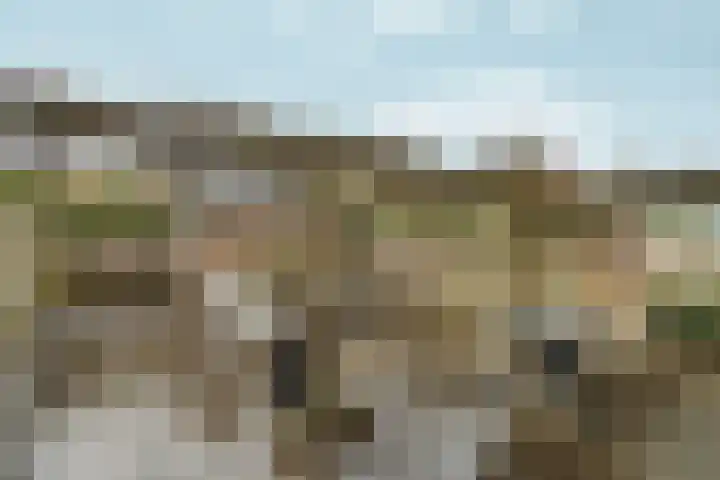 Eduard van Beinumlaan 109 Dieren thumbnail 45