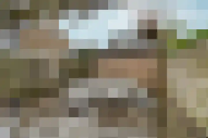 Eduard van Beinumlaan 109 Dieren thumbnail 46