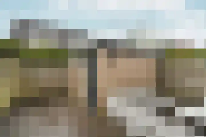 Eduard van Beinumlaan 109 Dieren thumbnail 47