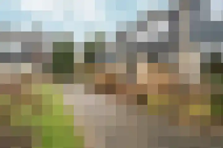 Eduard van Beinumlaan 109 Dieren thumbnail 52