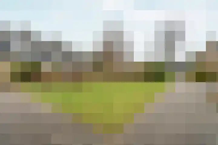 Eduard van Beinumlaan 109 Dieren thumbnail 55