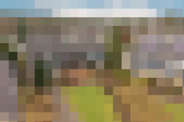 Eduard van Beinumlaan 109 Dieren thumbnail 57