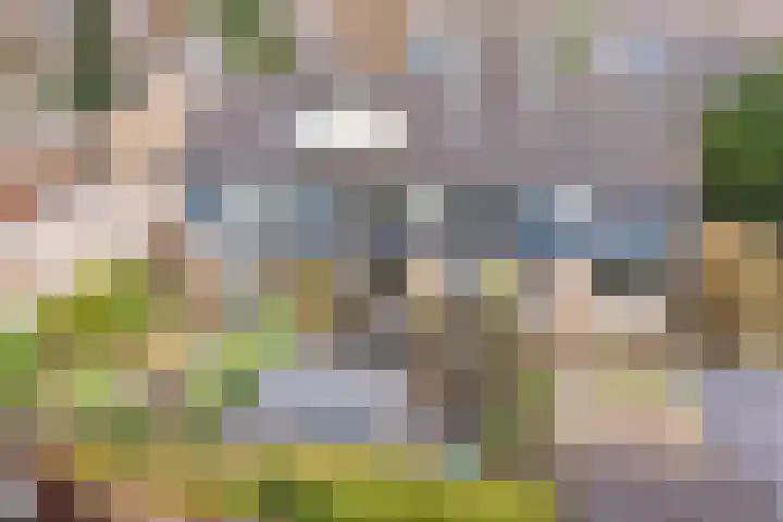 Eduard van Beinumlaan 109 Dieren thumbnail 62