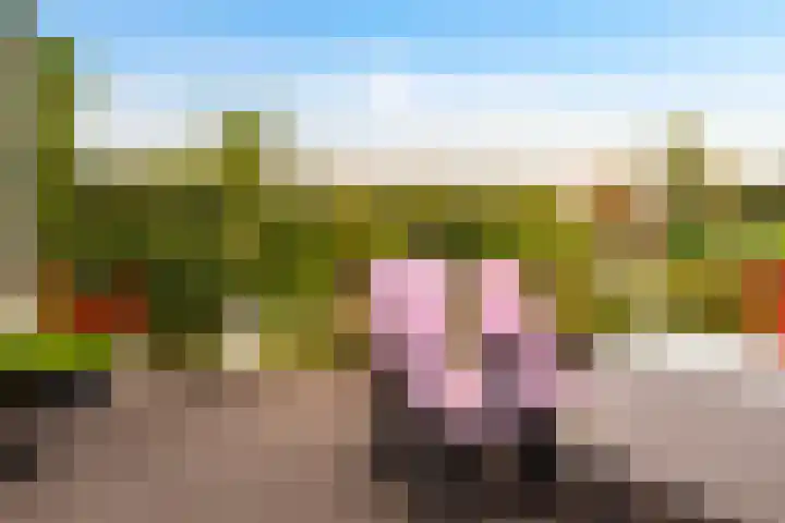 Eduard van Beinumlaan 130 Dieren thumbnail 21