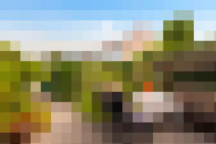 Eduard van Beinumlaan 130 Dieren thumbnail 4