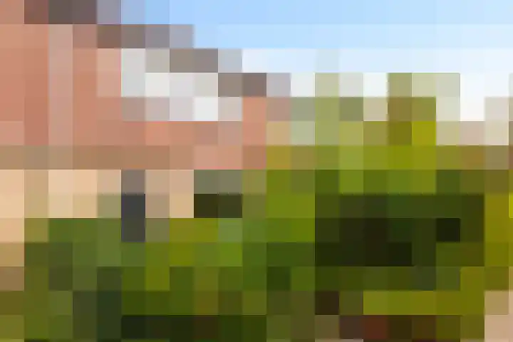 Eduard van Beinumlaan 130 Dieren thumbnail 5