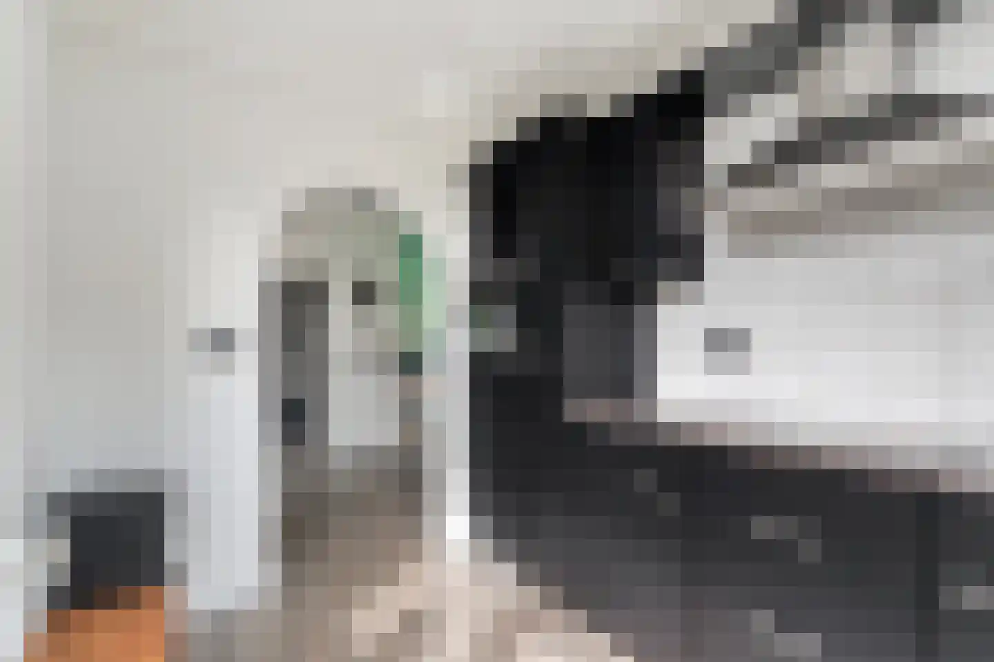 Eduard van Beinumlaan 18 Dieren thumbnail 12