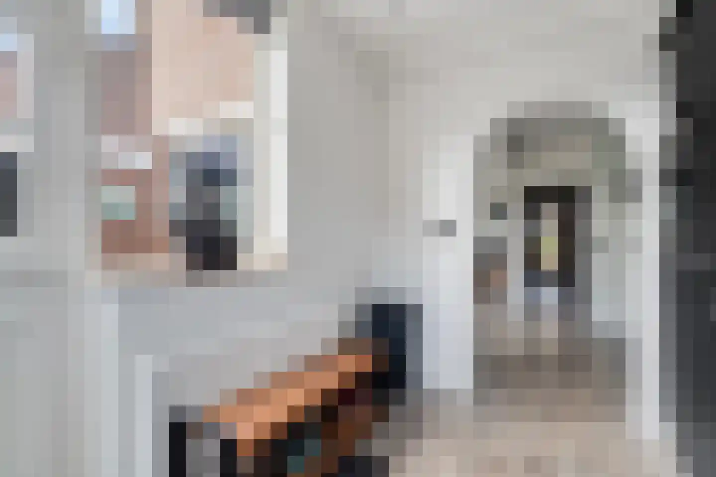 Eduard van Beinumlaan 18 Dieren thumbnail 13