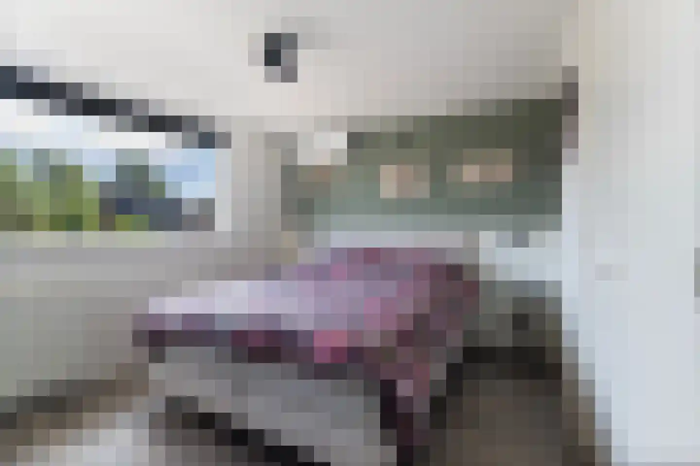 Eduard van Beinumlaan 18 Dieren thumbnail 17