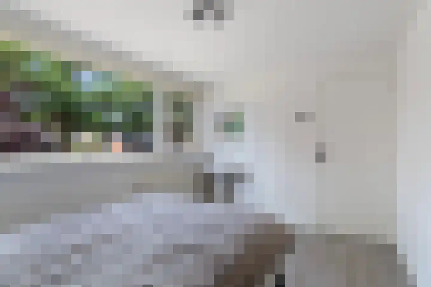 Eduard van Beinumlaan 18 Dieren thumbnail 20