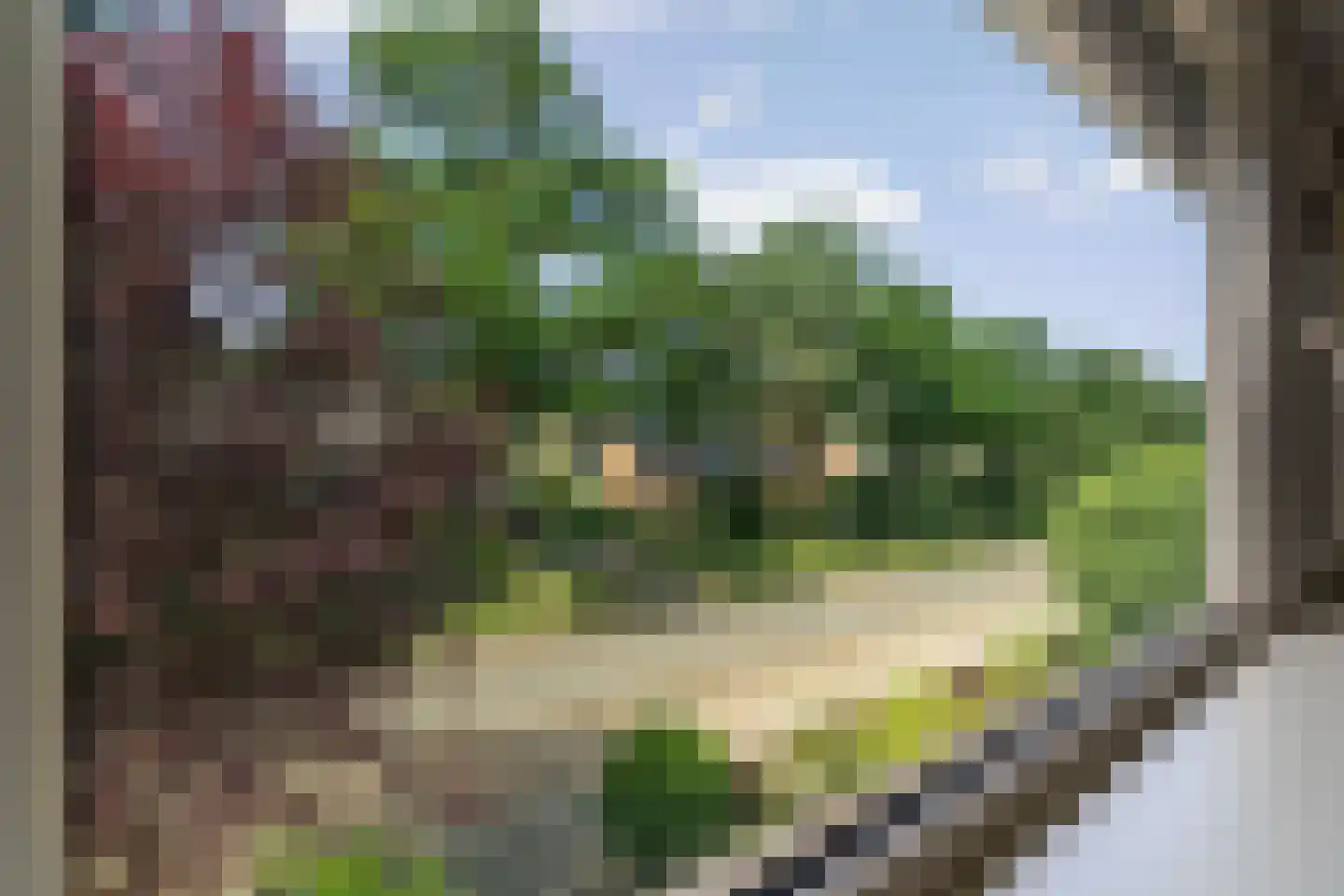 Eduard van Beinumlaan 18 Dieren thumbnail 21