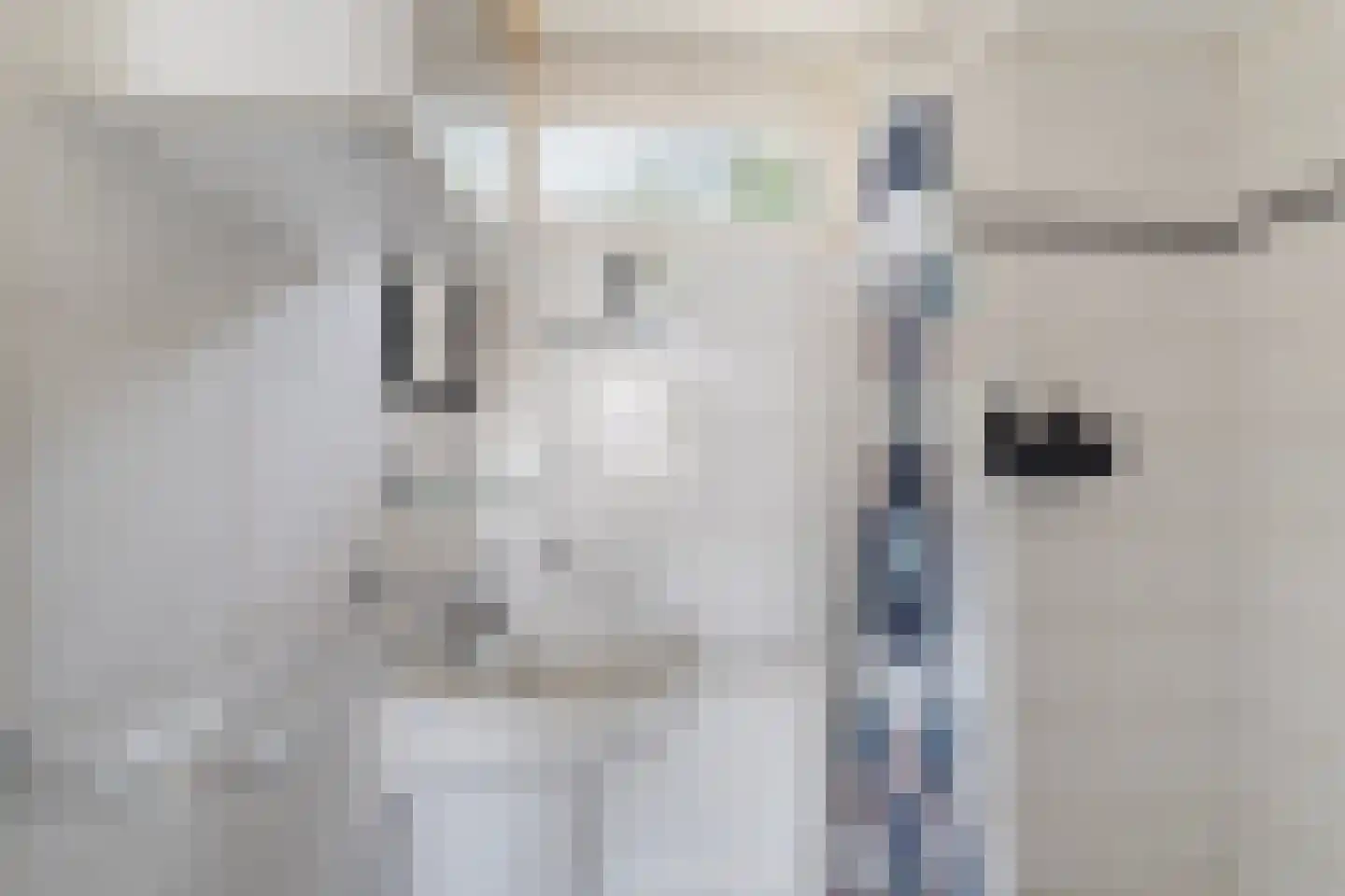 Eduard van Beinumlaan 18 Dieren thumbnail 24