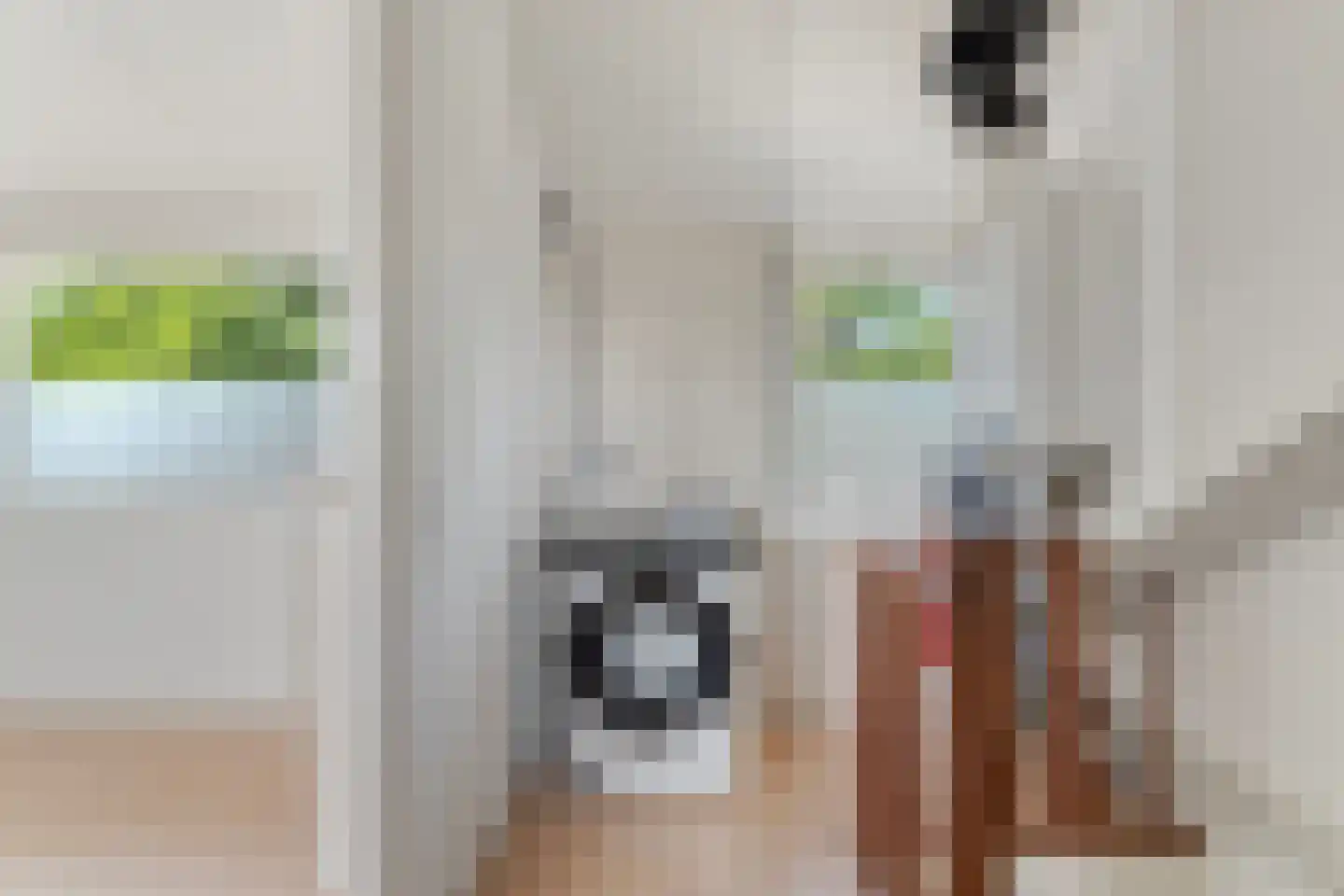 Eduard van Beinumlaan 18 Dieren thumbnail 27