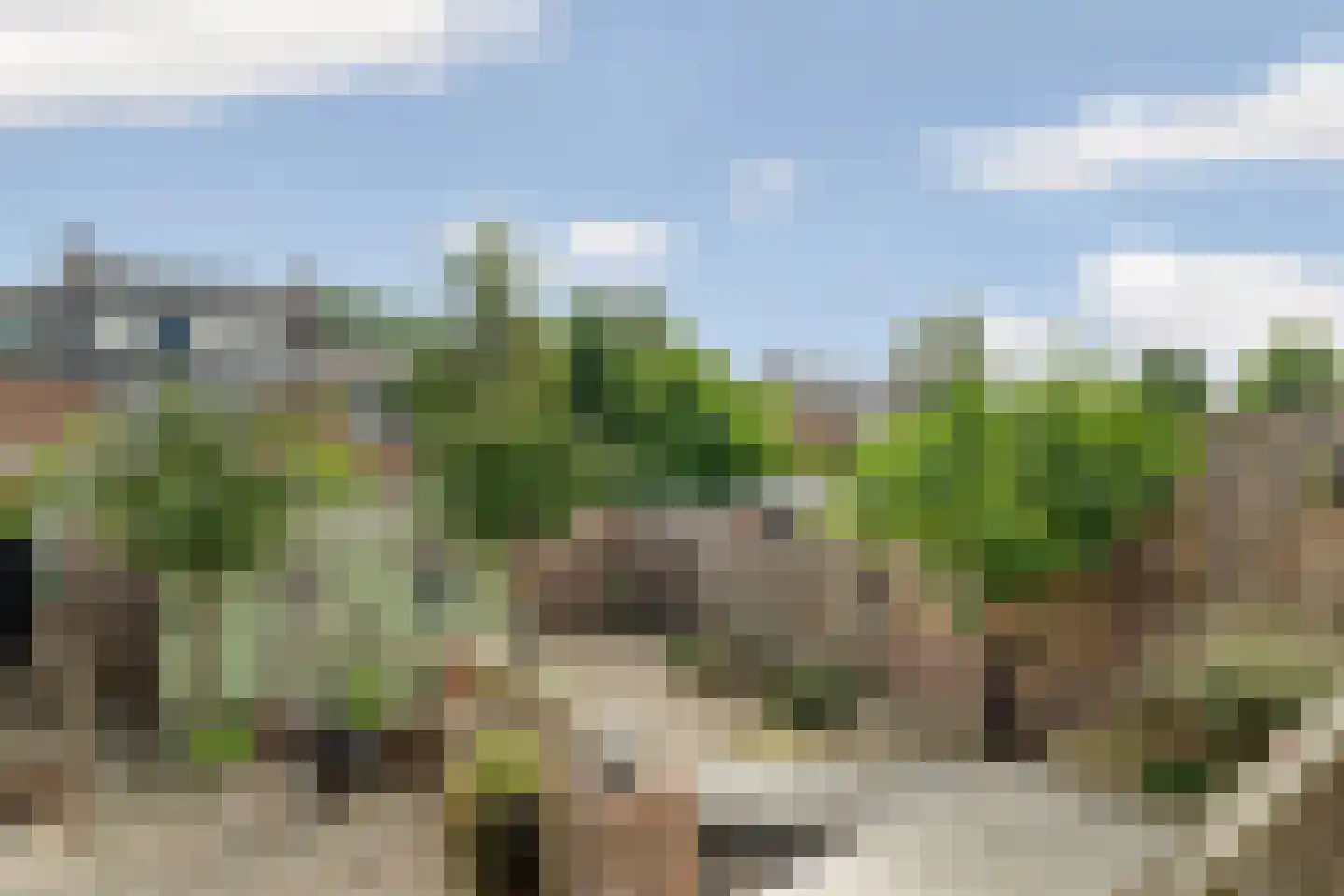 Eduard van Beinumlaan 18 Dieren thumbnail 32