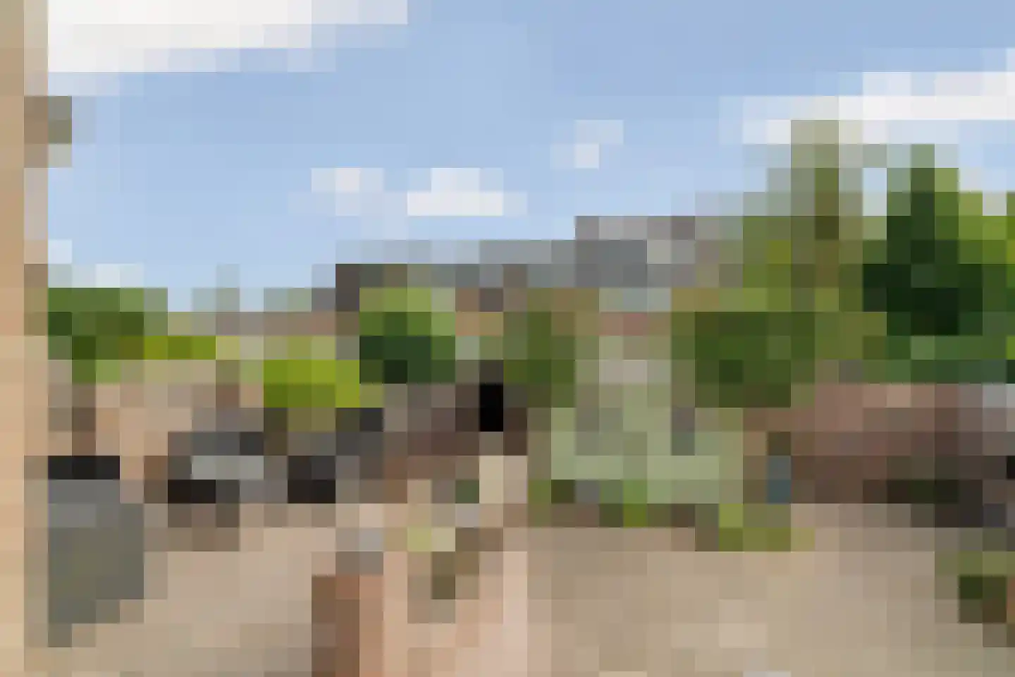 Eduard van Beinumlaan 18 Dieren thumbnail 33