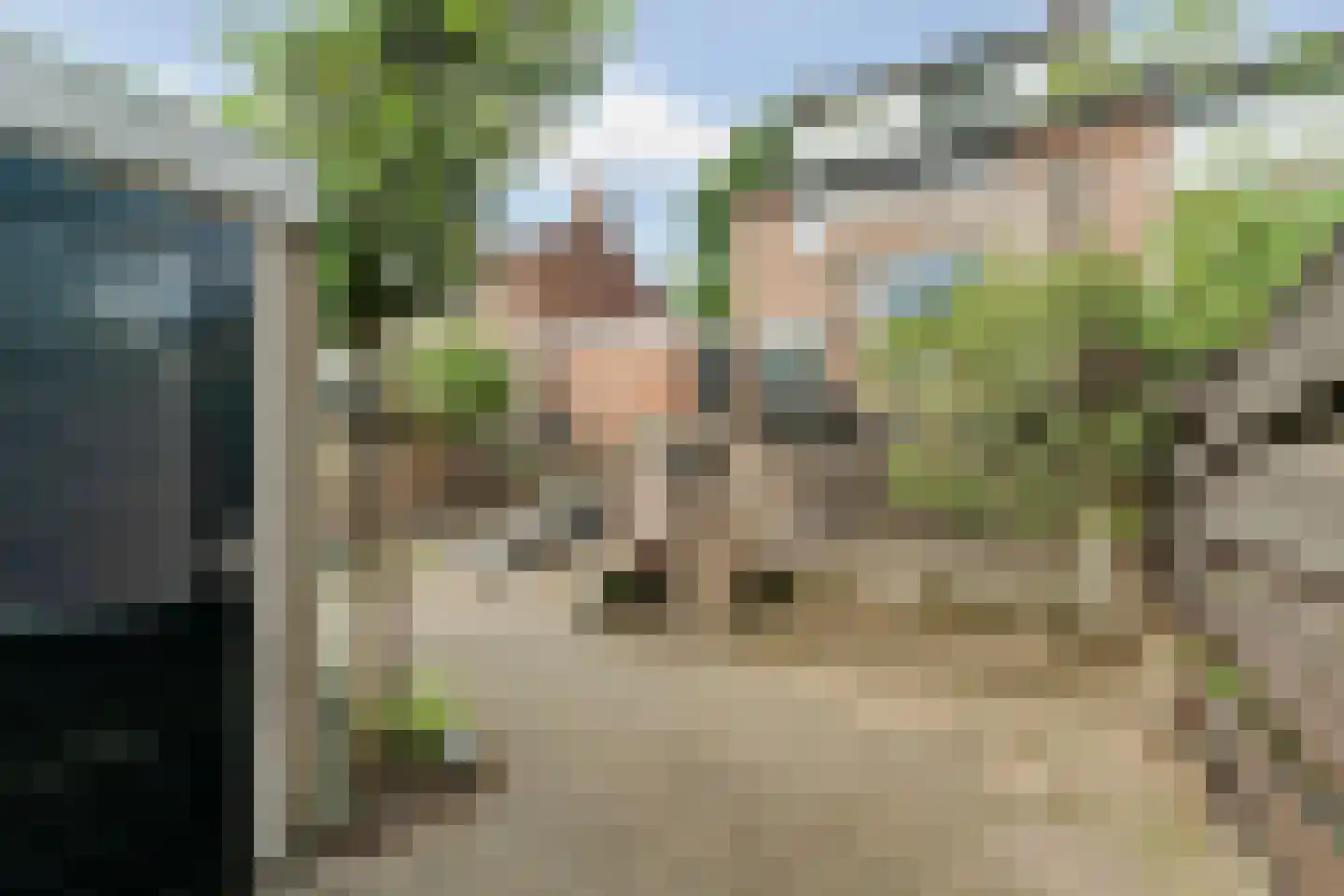 Eduard van Beinumlaan 18 Dieren thumbnail 35