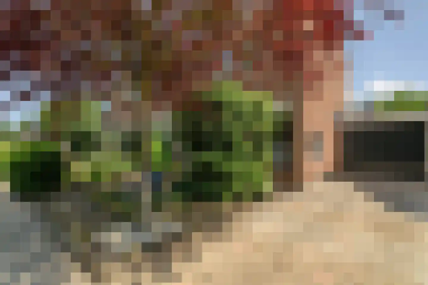 Eduard van Beinumlaan 18 Dieren thumbnail 39