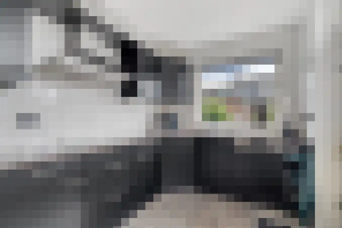 Eduard van Beinumlaan 18 Dieren thumbnail 4