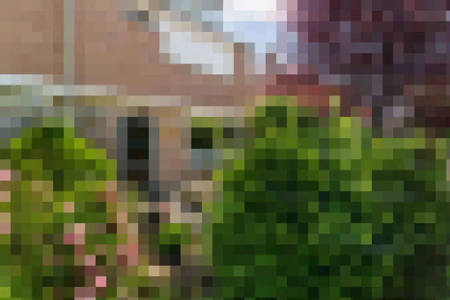 Eduard van Beinumlaan 18 Dieren thumbnail 41