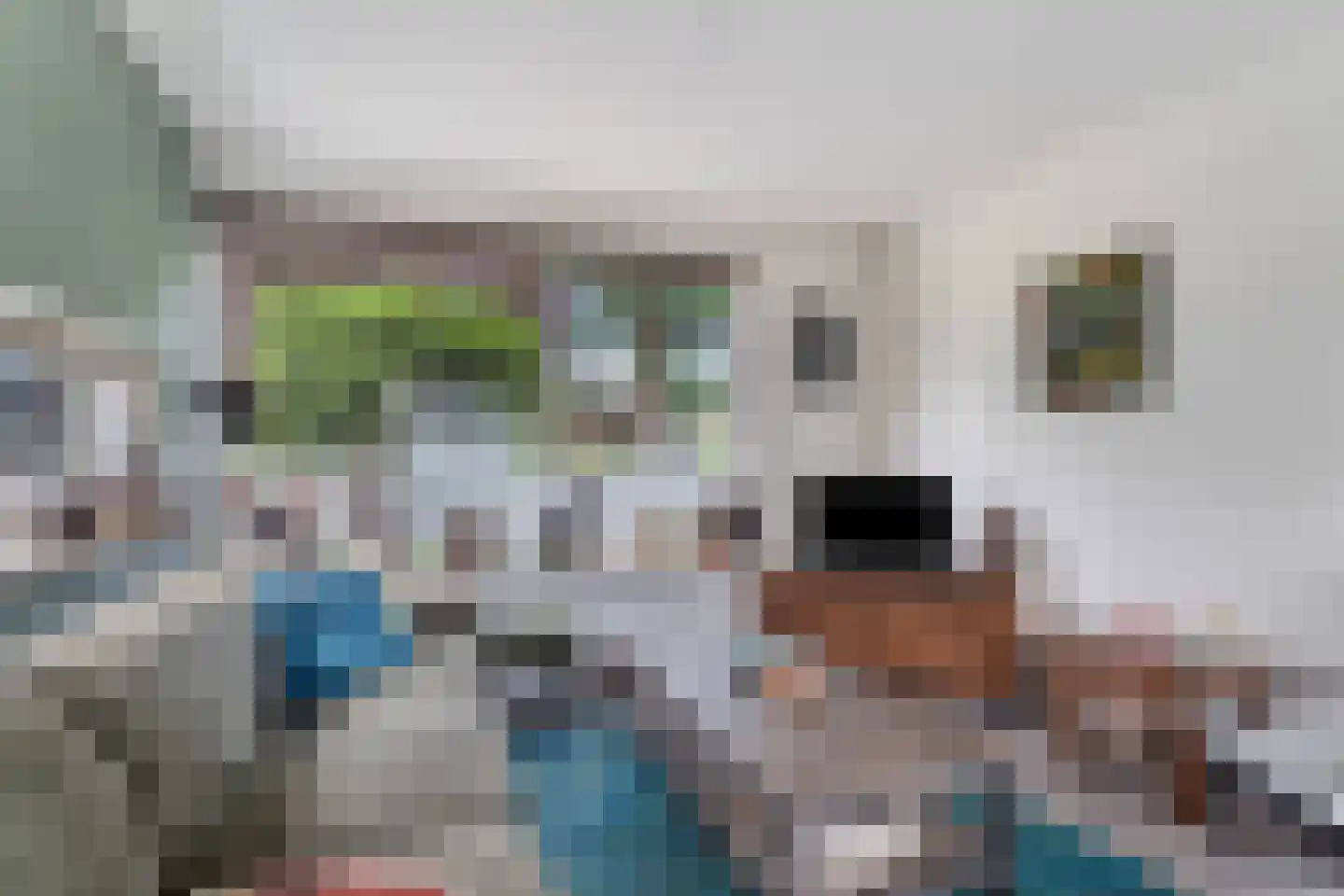 Eduard van Beinumlaan 18 Dieren thumbnail 8