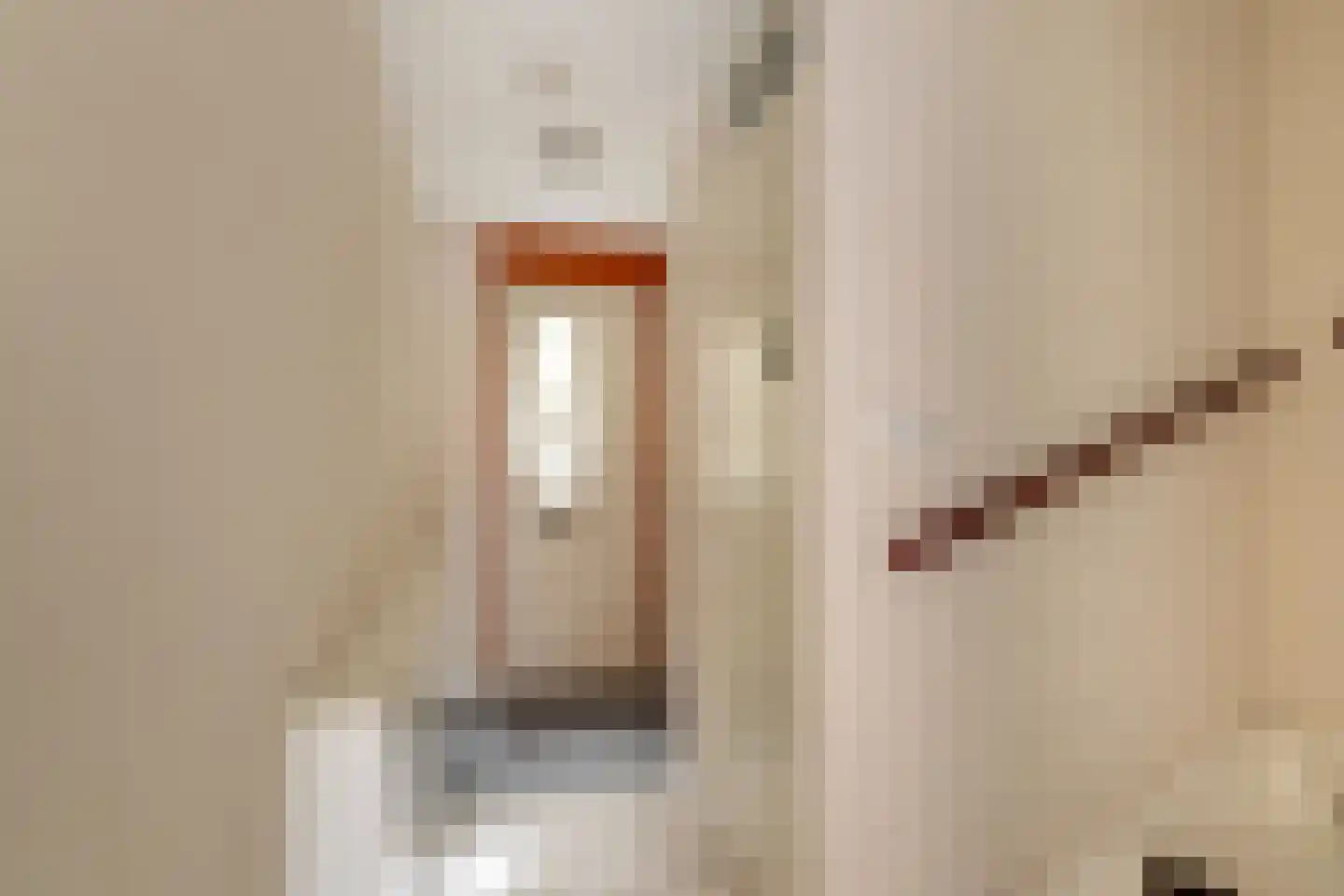Eduard van Beinumlaan 19 Schiedam thumbnail 11