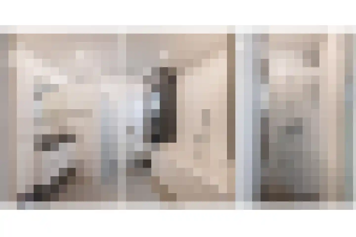 Eduard van Beinumlaan 19 Schiedam thumbnail 5