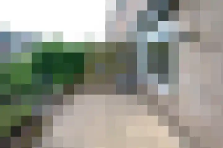Eduard van Beinumlaan 32 Dieren thumbnail 20