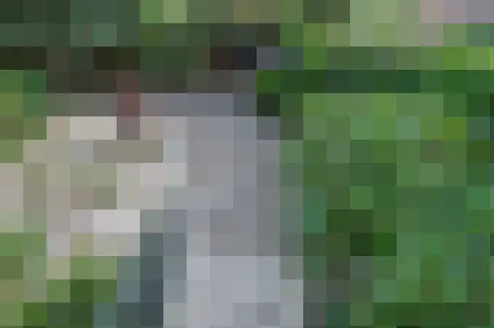 Eduard van Beinumlaan 32 Dieren thumbnail 21