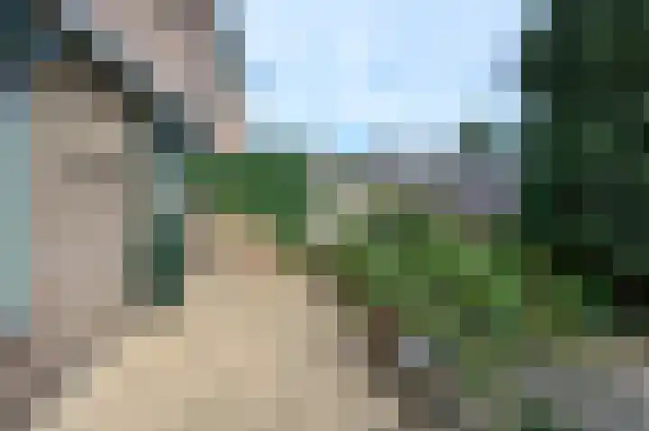 Eduard van Beinumlaan 32 Dieren thumbnail 22