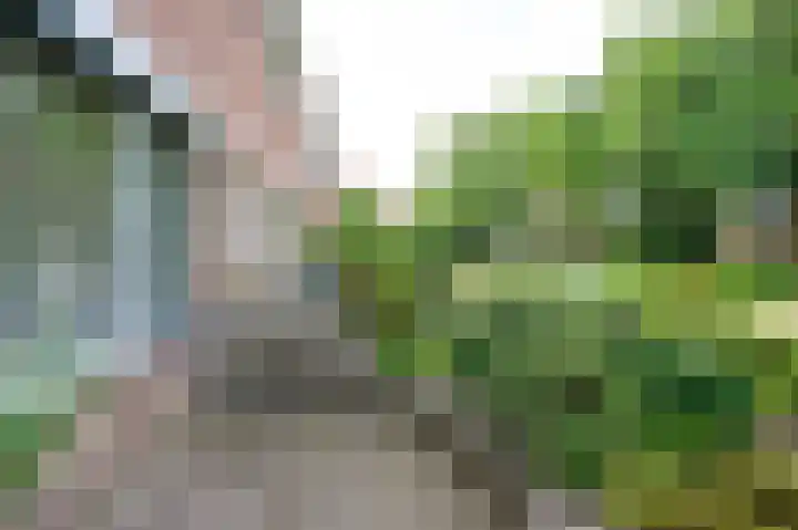 Eduard van Beinumlaan 32 Dieren thumbnail 26