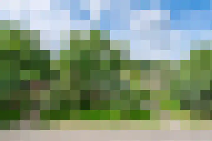 Eduard van Beinumlaan 32 Dieren thumbnail 29