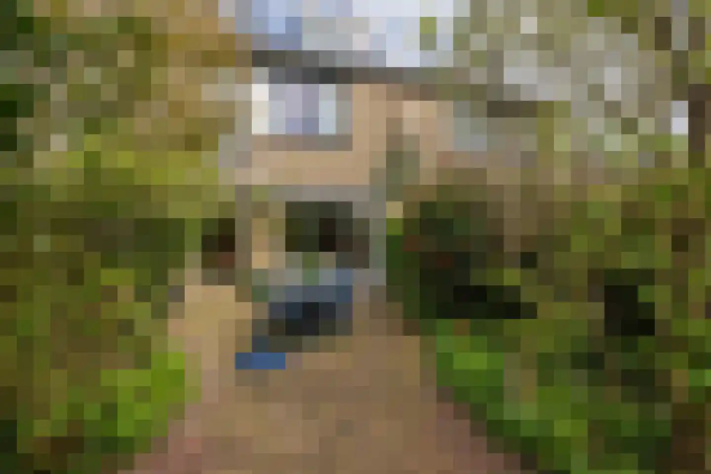 Eduard van Beinumlaan 80 Oegstgeest thumbnail 20