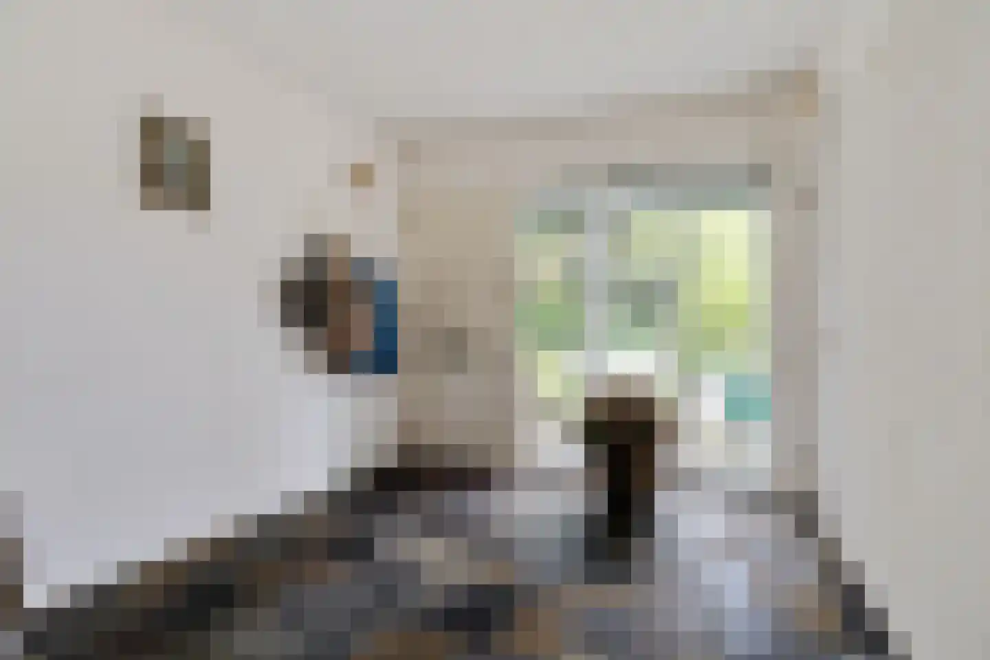 Eduard van Beinumstraat 2 Hengelo thumbnail 10