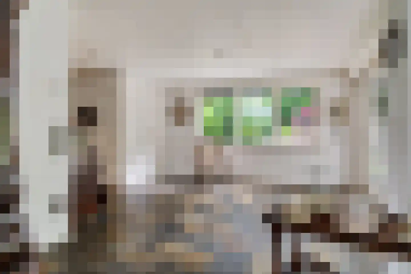 Eduard van Beinumstraat 2 Hengelo thumbnail 14