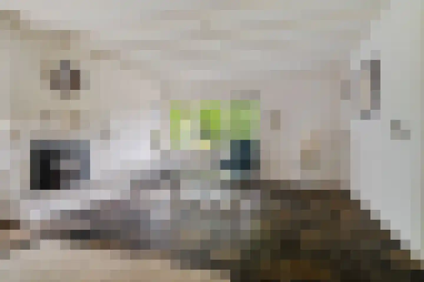 Eduard van Beinumstraat 2 Hengelo thumbnail 15
