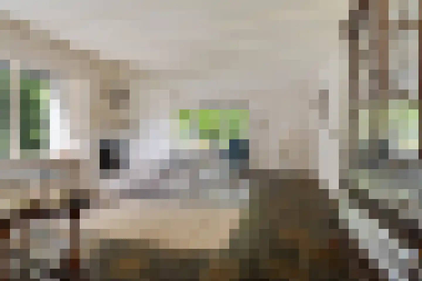 Eduard van Beinumstraat 2 Hengelo thumbnail 16