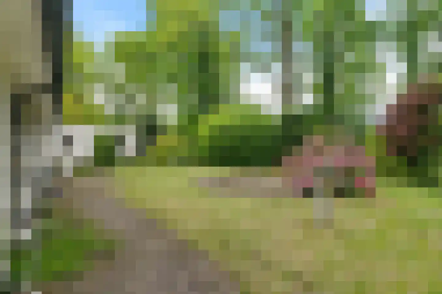 Eduard van Beinumstraat 2 Hengelo thumbnail 32