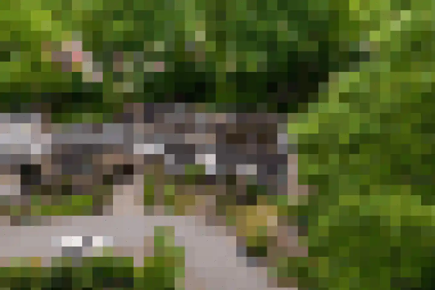 Eduard van Beinumstraat 2 Hengelo thumbnail 5