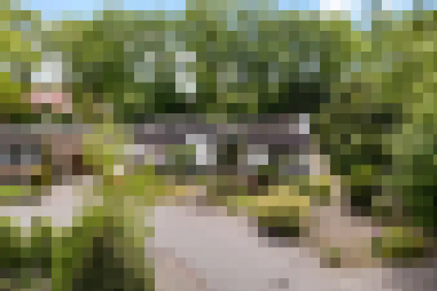 Eduard van Beinumstraat 2 Hengelo thumbnail 6