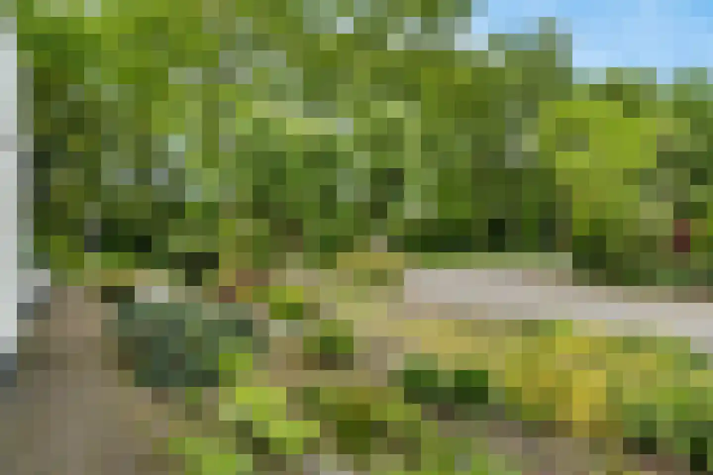Eduard van Beinumstraat 2 Hengelo thumbnail 9