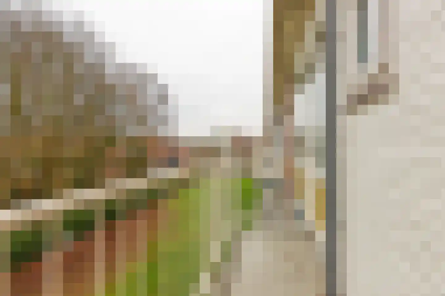 Eduard van Beinumstraat 73 Leiden thumbnail 19