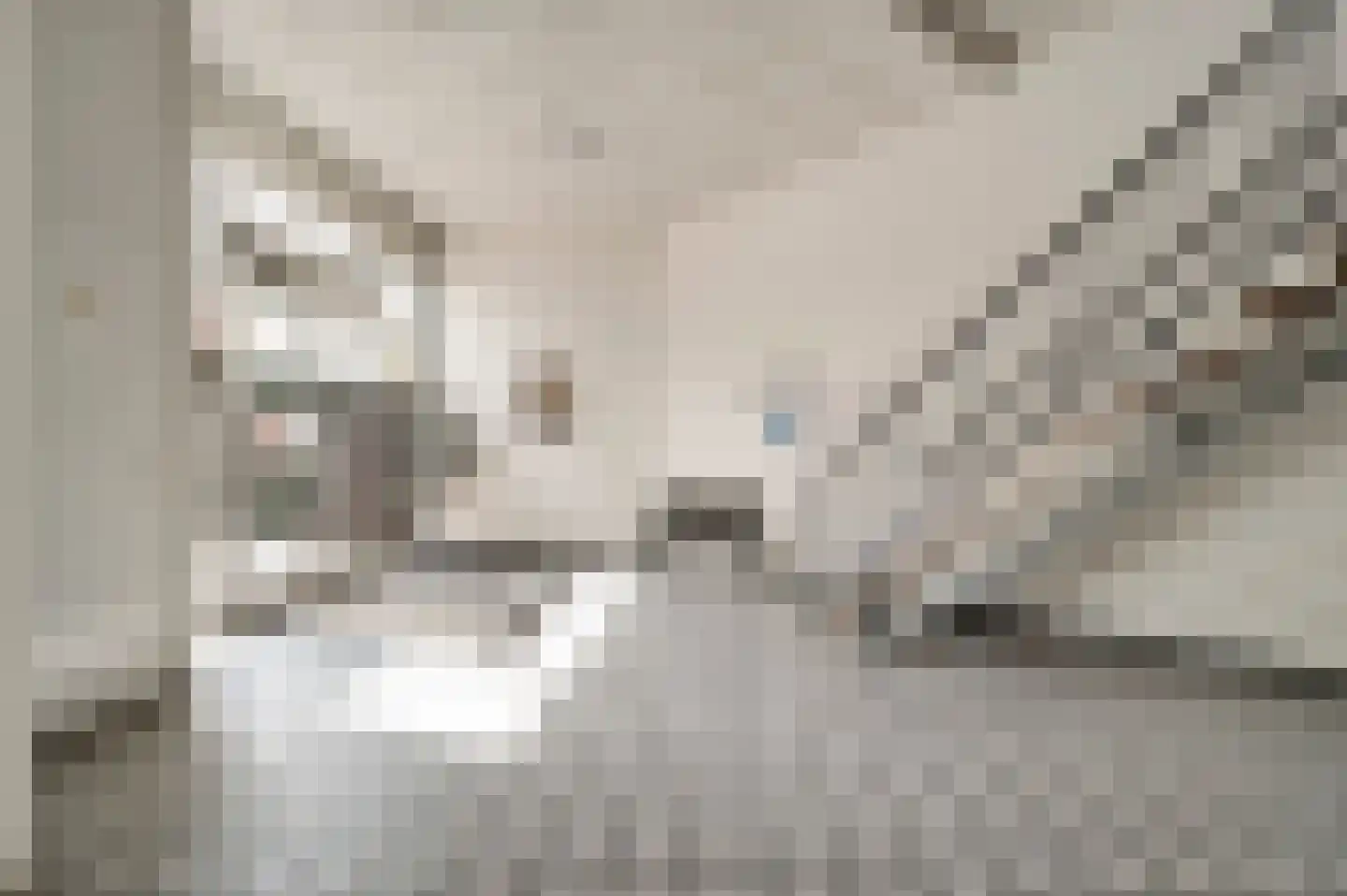 Eduard van Wegbergplein 14 Heythuysen thumbnail 7
