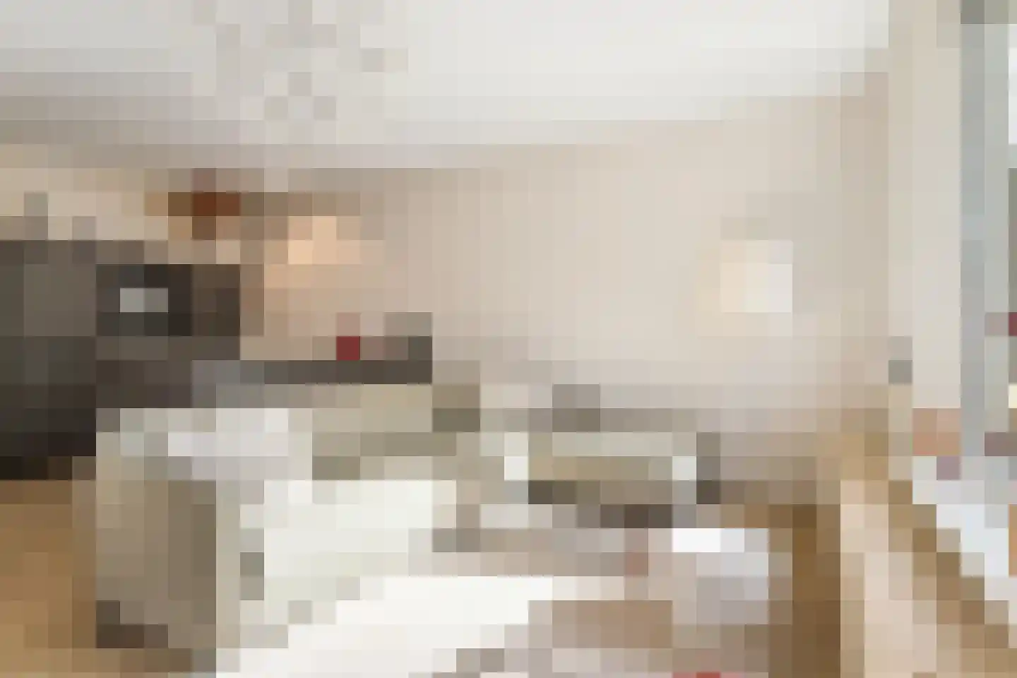 Eduard Verkadelaan 117 Utrecht thumbnail 11